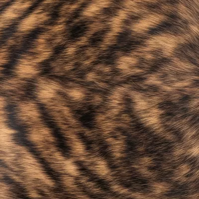 Imagen PNG para descargar